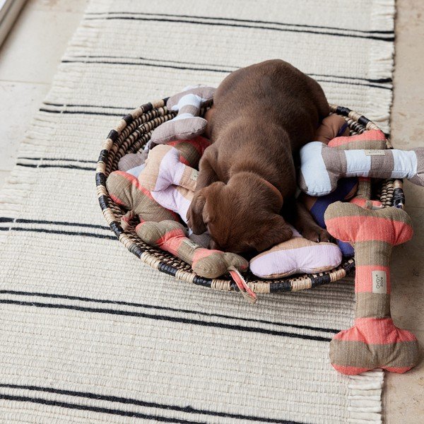 Giocattolo per cani Ashi – OYOY Living Design-image-1