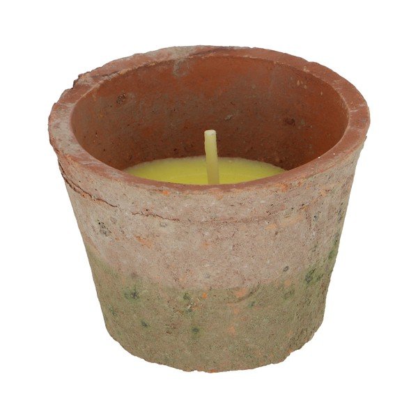 Candela profumata tempo di combustione 10 h Citronelle - Esschert Design-image-3