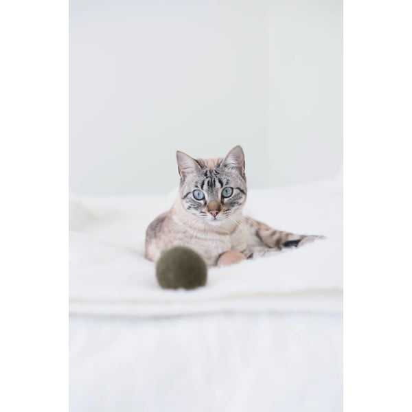 Set di giochi per gatti 3 pz Globo Nougat – MiaCara-image-3