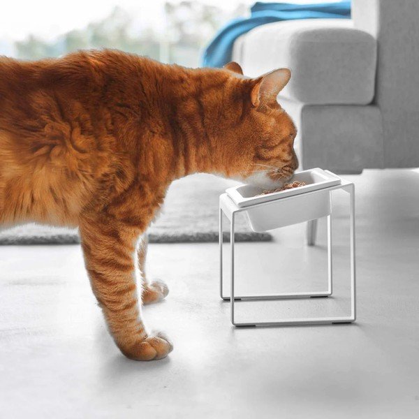 Ciotola con supporto in ceramica per animali domestici Nooks – YAMAZAKI-image-2