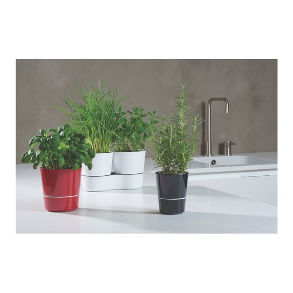 Vaso nero per erbe aromatiche Hydro Herbs - Mepal-image-2