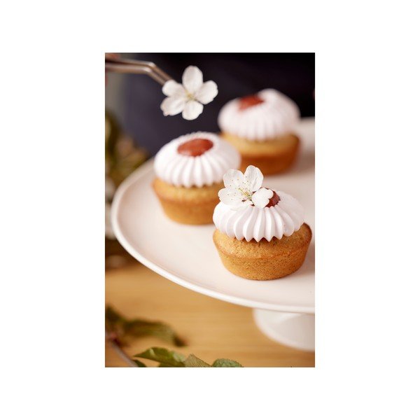 Pinza – Blomsterbergs-image-4