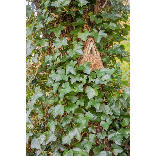 Casetta per uccelli in legno Camouflage - Esschert Design-image-2