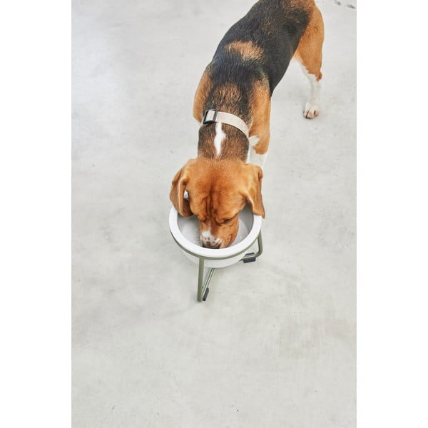 Ciotola con supporto in porcellana per cane ø 20 cm Pranzo Grolive M – MiaCara-image-4