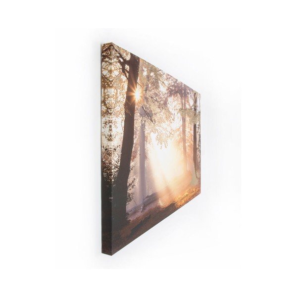 Pittura , 80 x 60 cm Metallic Forest - Graham & Brown-image-2