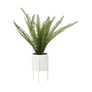 Felce artificiale (altezza 56 cm) Fiori - Premier Housewares