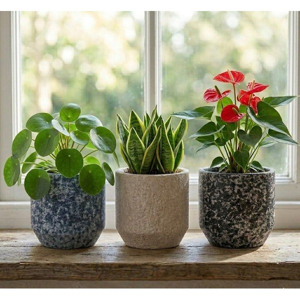 Coprivaso in ceramica ø 14 cm Almada – Ego Dekor-image-1