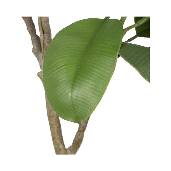 Pianta artificiale (altezza 116 cm) Oak Tree - Ixia-image-2
