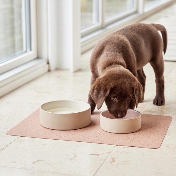 Ciotola in ceramica per cane ø 13 cm Sia – OYOY Living Design-image-2