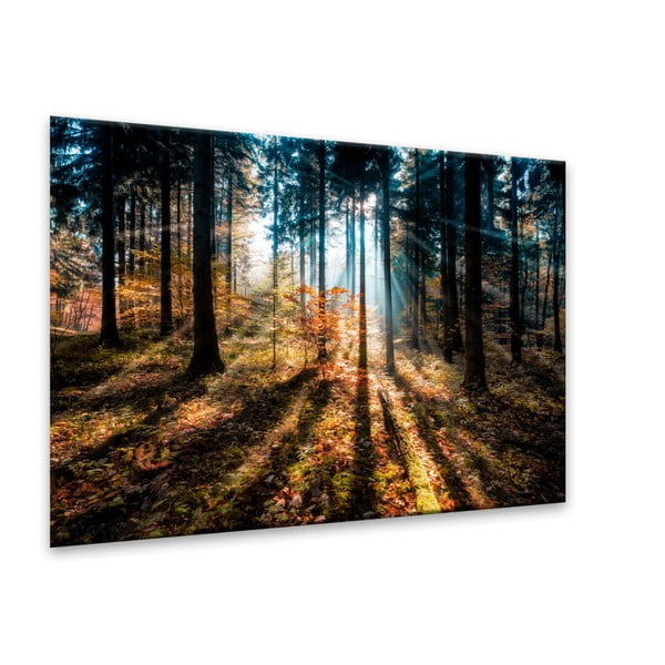 Immagine su tela, 70 x 100 cm Glasspik Autumn Sunset - Styler-image-2