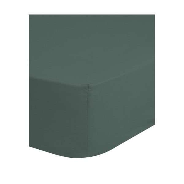 Lenzuolo in cotone elasticizzato verde-grigio 90x200 cm - Good Morning-image-1