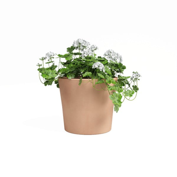 Vaso in terracotta ø 24 cm Manuel - Artevasi-image-1