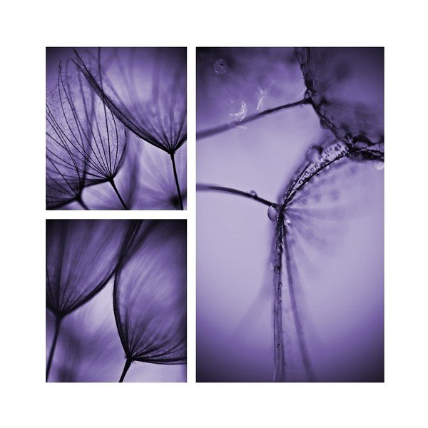 Quadro in vetro viola di Harmo, 30 x 30 cm - Insigne