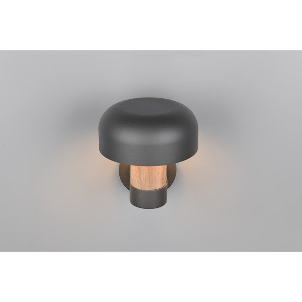 Illuminazione esterna con sensore di movimento da parete (altezza totale 24,5 cm) Fraser – Trio-image-2