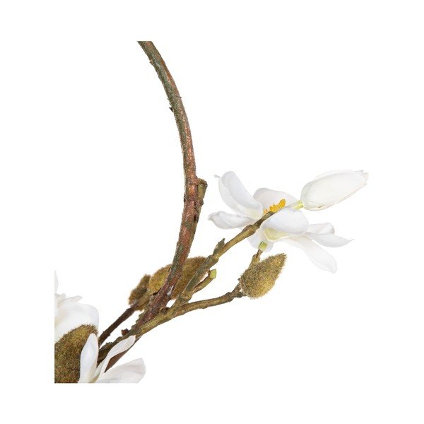 Ghirlanda di fiori  Magnolia - Ixia-image-1