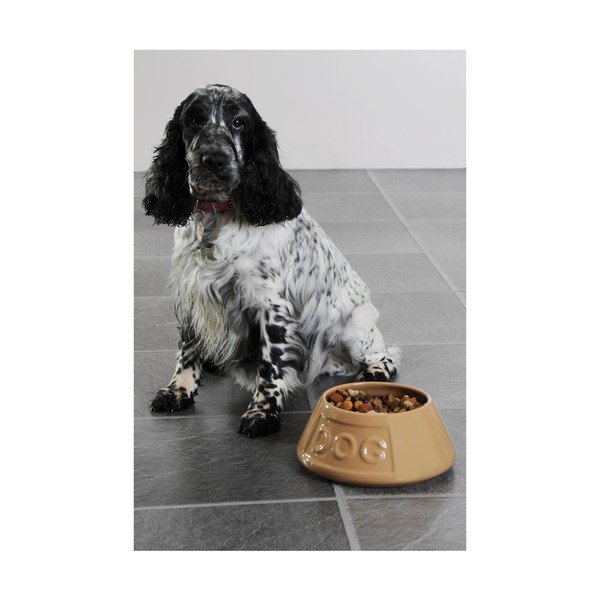 Ciotola per cani in gres, ø 21 cm Pet Cane Dog - Mason Cash-image-2