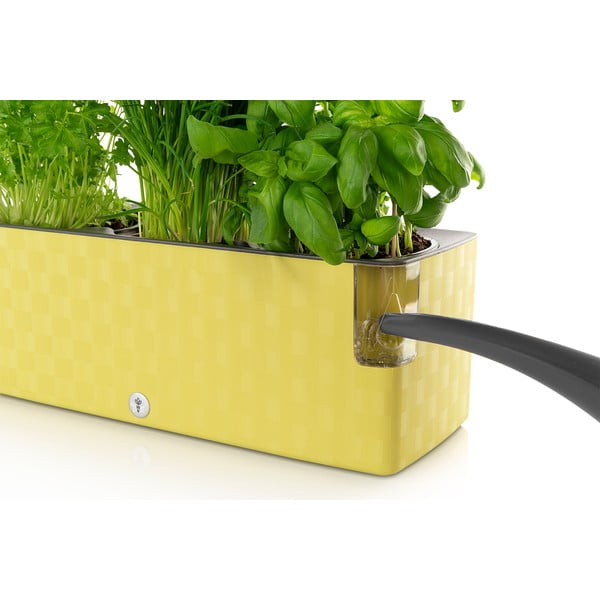 Vaso autoinnaffiante verde per basilico Trio, 40 x 14 cm Cobble - Flower Lover-image-1