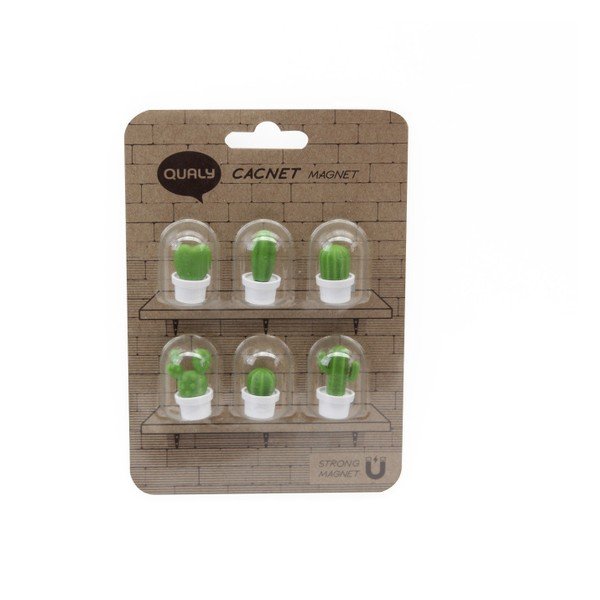 Set di 6 magneti &CO Cacnet II - Qualy