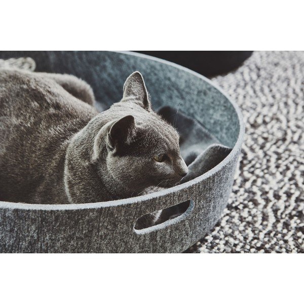 Cesto per giocattoli per animali domestici ø 46x12 cm Cesto Concrete - MiaCara-image-3