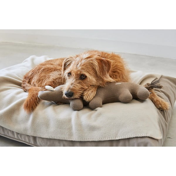 Giocattolo per cani Bosco Boar - MiaCara-image-3