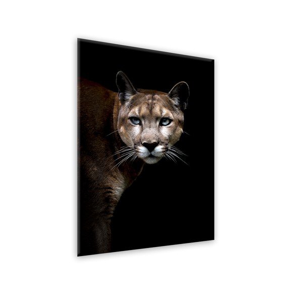 Immagine Animali Glas Cougar, 70 x 100 cm - Styler-image-1