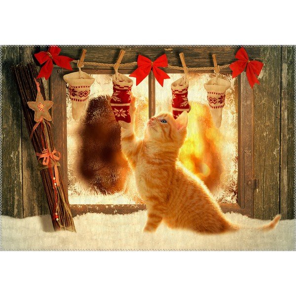 Koberec Vitaus Christmas Period Playful Cat, 50 x 80 cm