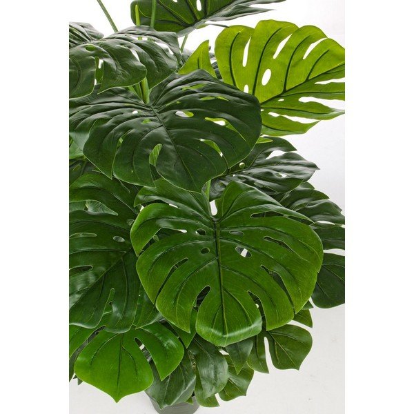 Monstera finta (altezza totale 120 cm) Philodendron – Bizzotto-image-2