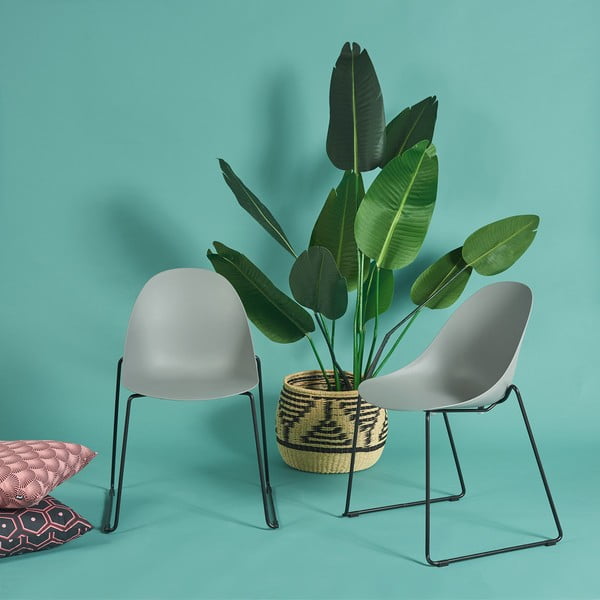 Set di 2 sedie da pranzo grigie con base nera Viva - Bonami Selection-image-1