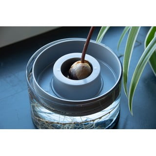 Vaso per avocado ø 14 cm Avocado - Esschert Design