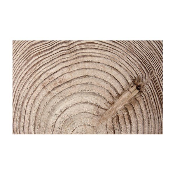 Carta da parati di grande formato Bimago l, 400 x 280 cm Wood Grain - Artgeist