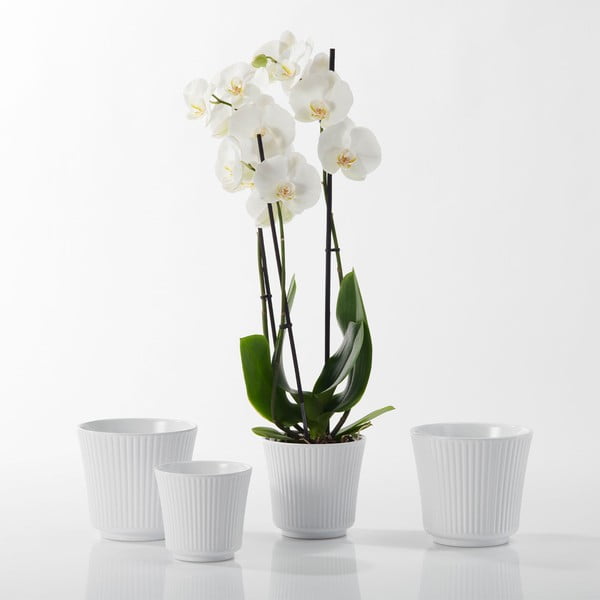 Vaso in ceramica bianca Gloss, ø 12 cm - Big pots-image-1