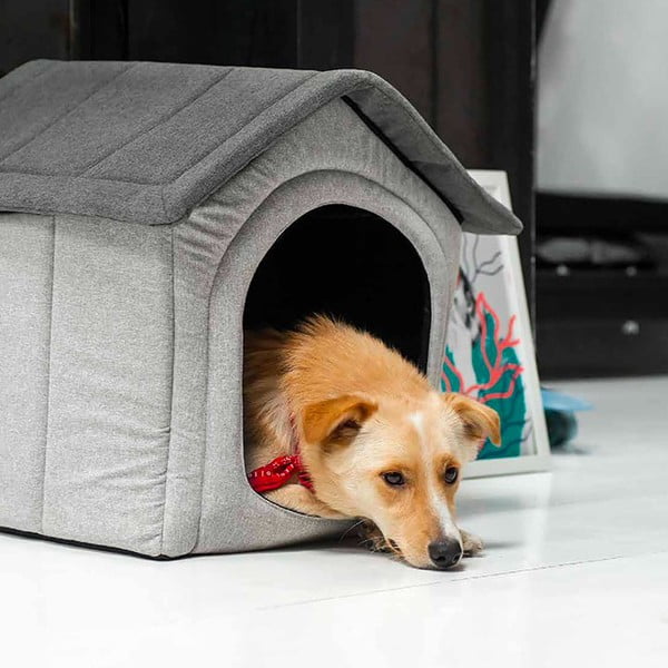 Cuccia per cani grigio chiaro 52x53 cm Home XL - Rexproduct-image-4