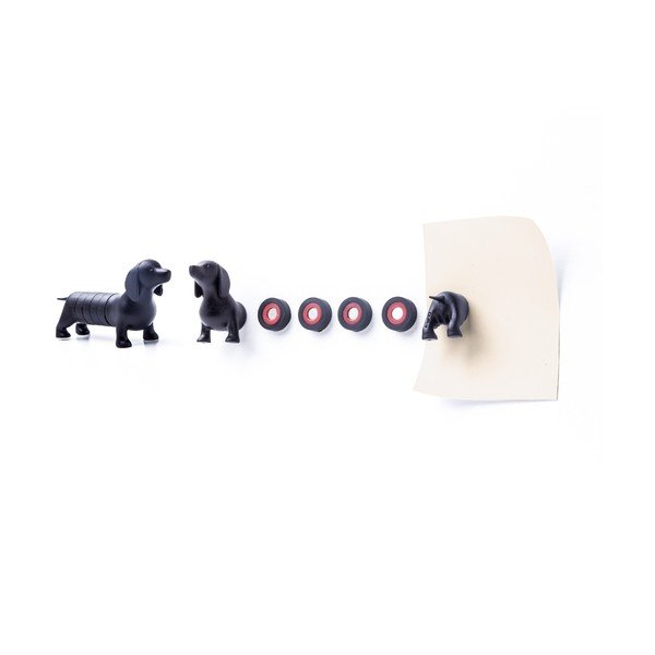 Sada magnetů Qualy&CO Magnetic Dog