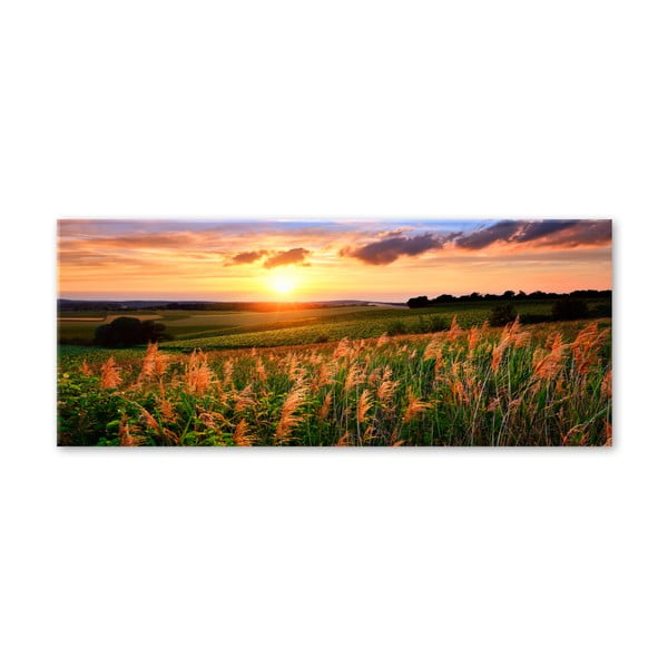 Immagine Glas Natura Tramonto Me, 80 x 120 cm - Styler