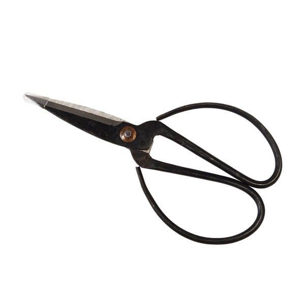 Forbici da giardino Your Garden – Rex London