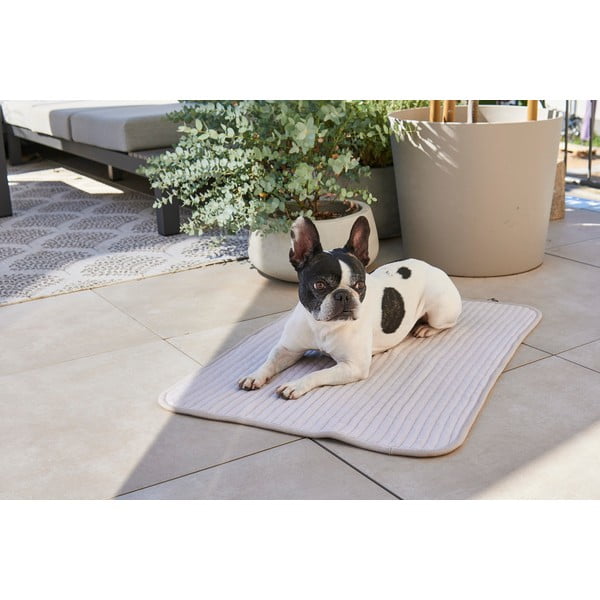 Coperta grigia in cotone per cani 75x100 cm Onda Pebble M - MiaCara-image-2