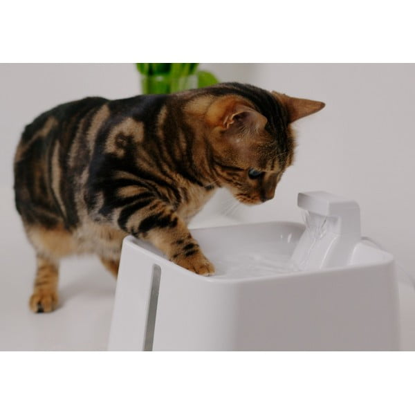 Fontana per animali domestici Epic Pet Zen - Plaček Pet Products-image-1