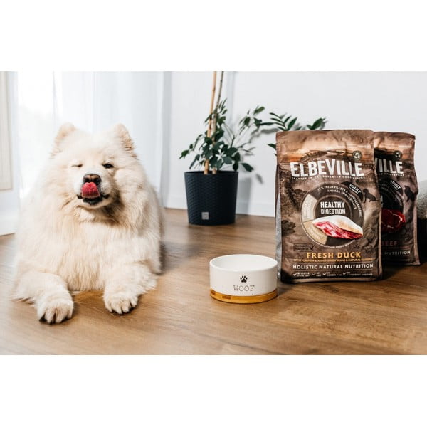 Ciotola per cani in ceramica ø 13 cm Dog Fantasy WOOF - Plaček Pet Products-image-1