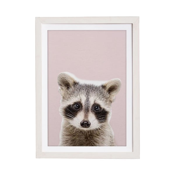Quadro da parete in cornice Baby Racoon, 30 x 40 cm Rose Baby Racoon - Querido Bestiario