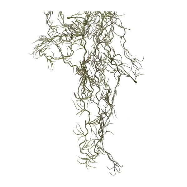 Pianta artificiale Lichen - Côté Table-image-1