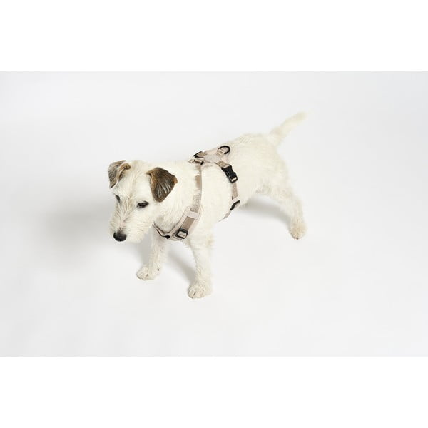 Pettorina beige taglia S lunghezza 30 cm Modena Greige S - MiaCara-image-3