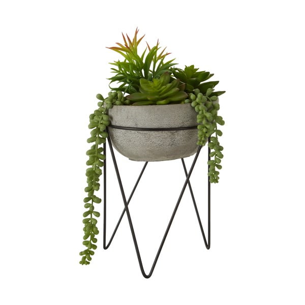 Succulenta artificiale (altezza 36 cm) Fiori - Premier Housewares-image-1