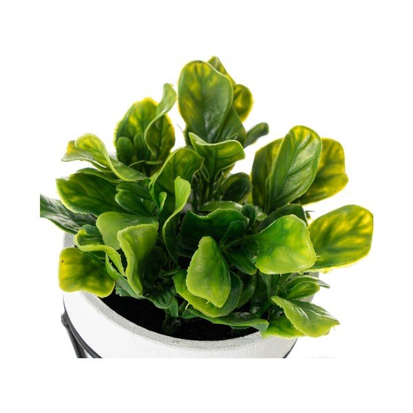 Piante artificiali in set da 4 - Casa Selección-image-1