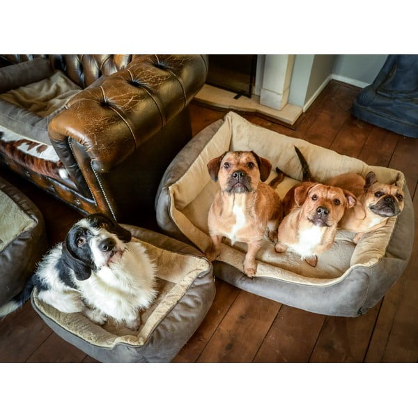 Letto per cani marrone chiaro 50x65 cm - Madison-image-1