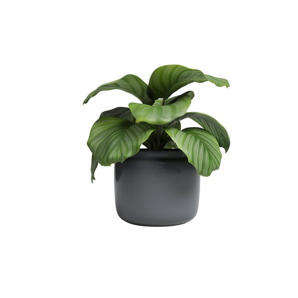 Vaso in ceramica fatto a mano ø 20 cm Astrea - Artevasi-image-3