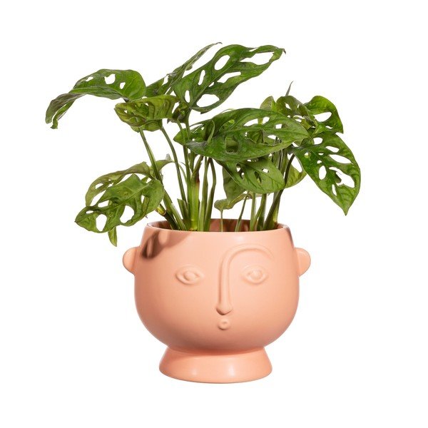 Pentola rosa Sorpreso Face - Sass & Belle-image-2