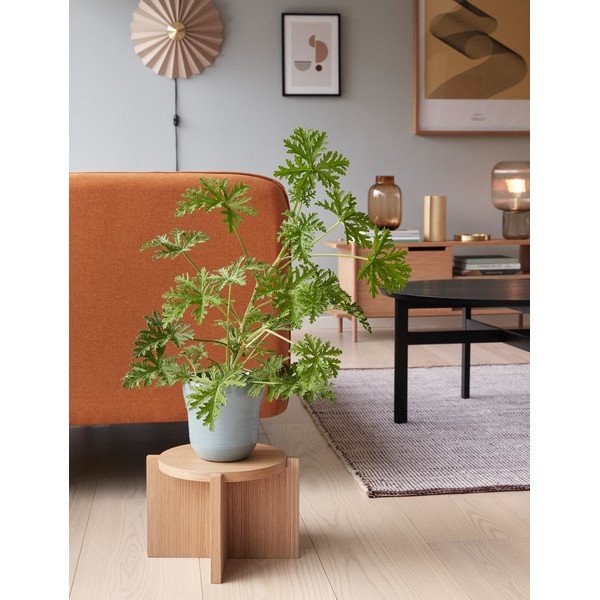 Lampada da parete beige per cassetto ø 48 cm Pliss - Hübsch-image-1