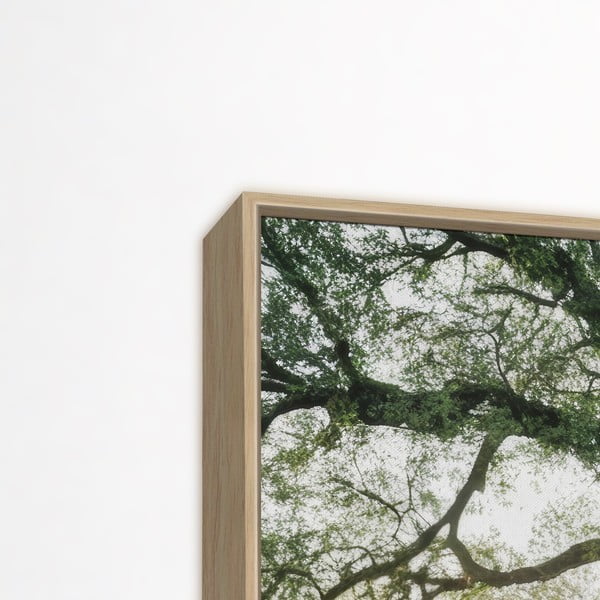 Quadro 150x60 cm Tree in the Sun  -image-3