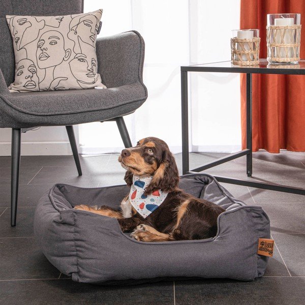 Letto blu per cani 50x55 cm - Love Story-image-1