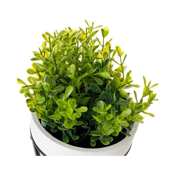 Piante artificiali in set da 4 - Casa Selección-image-3